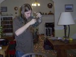Christmas Lighting Engineer