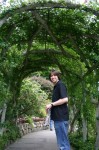 Green Archway