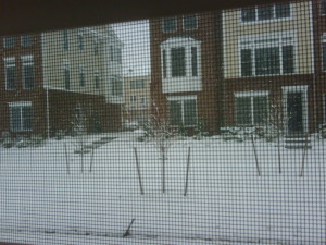 snow2