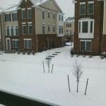 Blizzard 2010: Getting Started (1)