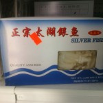Mmm, Delicious Silverfish! Mmm, Delicious Silverfish!