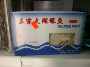 Mmm, Delicious Silverfish!