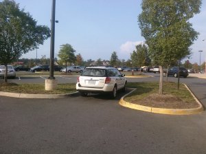 I Like to Park Alone