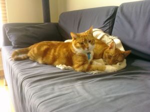 Secret Lovers