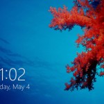 Login Screen