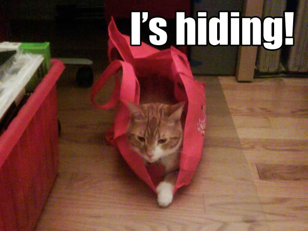 I's hiding!
