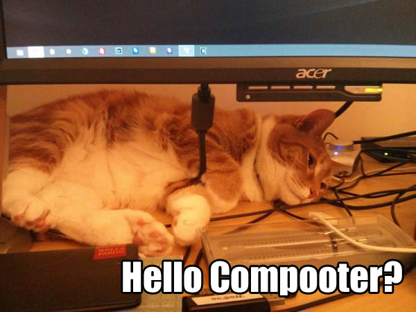 Hello Compooter?