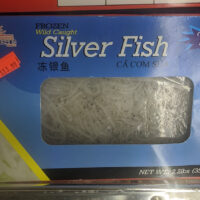 Silver Fish