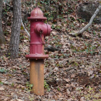 Water Feature