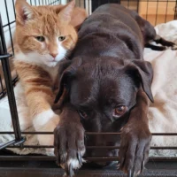 Friends